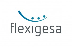 Flexigesa Logo RGB 1200
